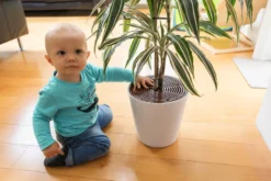 Abus Noah Plantbeskyddare 2 st