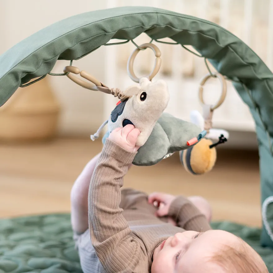 Aktivitetsbåge Liten bondgård Grön