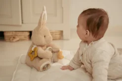 Aktivitetsgosedjur Bunny