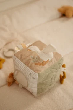Aktivitetskub