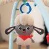 Baby Einstein Happy Harvest™ Babygym