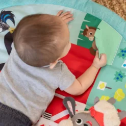 Baby Einstein Happy Harvest™ Babygym