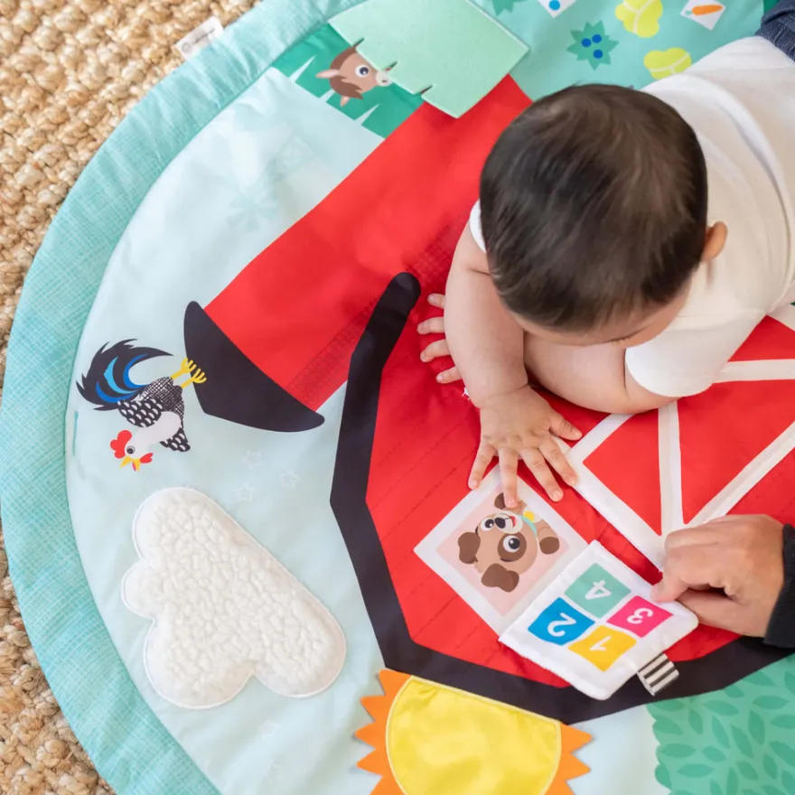 Baby Einstein Happy Harvest™ Babygym