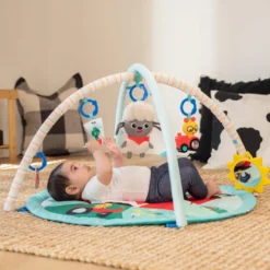 Baby Einstein Happy Harvest™ Babygym