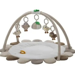 Babygym Baby Owls
