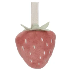 Babygym Fairy Garden - Rosa