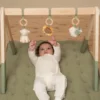 Babygym Little Farm