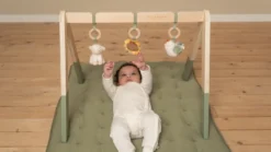 Babygym Little Farm
