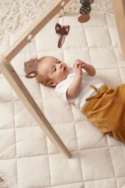 Babygym Trä