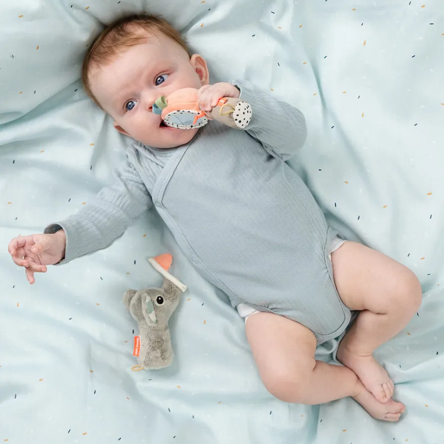 Babyset med spegel och skallra - Celebration Färgmix