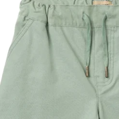 Bendix Shorts - Teal water