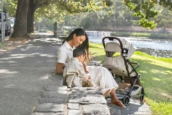 Britax Römer Flylite Resevagn - Teak