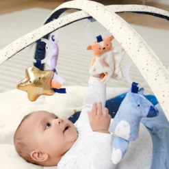 Celestial Dreams Babygym