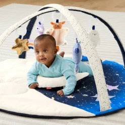 Celestial Dreams Babygym