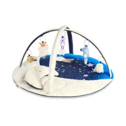 Celestial Dreams Babygym