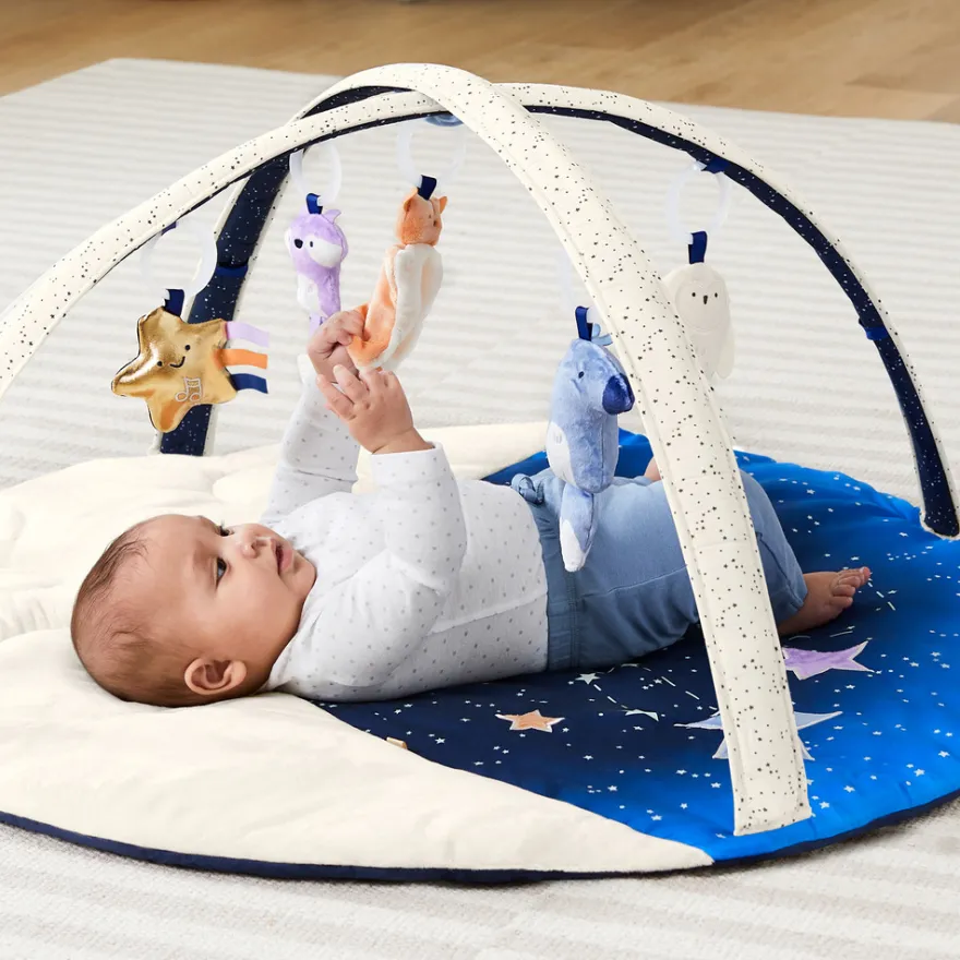 Celestial Dreams Babygym