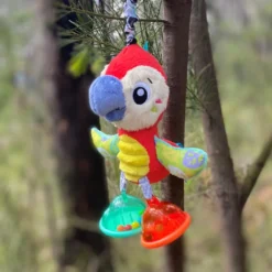 Dingly Dangly hängande, Fågel