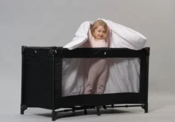 DREAM1 Resesäng
