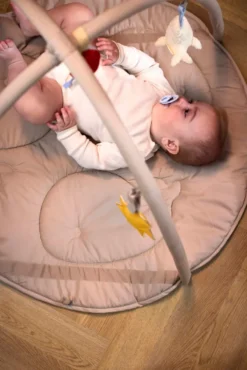 Filibabba Fjord Babygym
