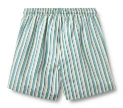 Hansi Badge Badshorts - Aqua Stripe
