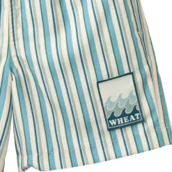 Hansi Badge Badshorts - Aqua Stripe