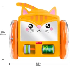 Husdjur Kryp & Lek Katt Spegel