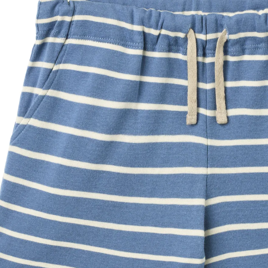 Kalle Jersey Shorts - Blue Stripe