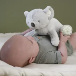 Kaloo Tyngdnalle - Koala