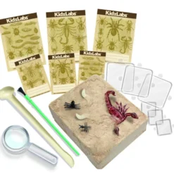Kidzlabs /Creepy Crawly Digging Kit