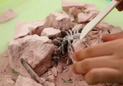 Kidzlabs /Creepy Crawly Digging Kit