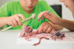 Kidzlabs /Creepy Crawly Digging Kit