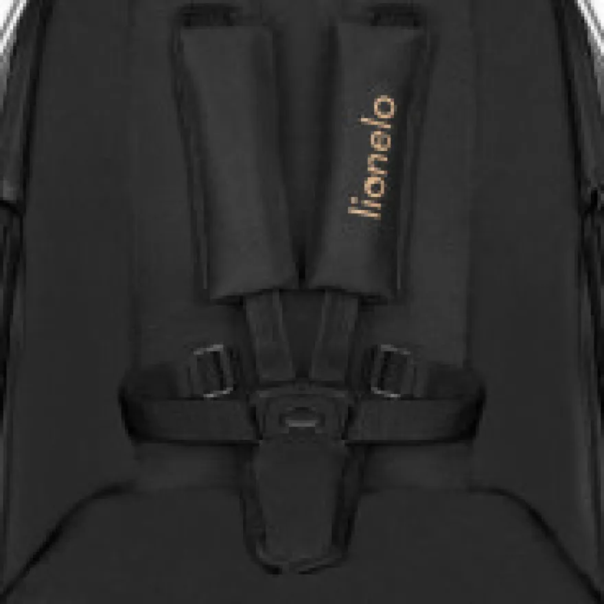 Lionelo Amber 3i1 Duovagn - Black Onyx
