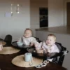 Långärmad haklapp - Dinos