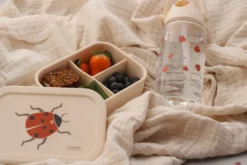 Lunchlåda - Ladybug