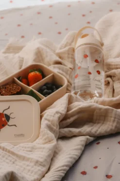 Lunchlåda - Ladybug