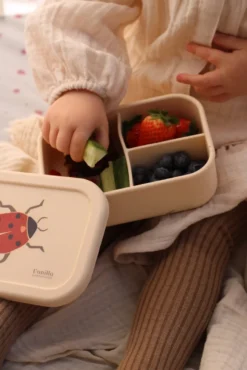 Lunchlåda - Ladybug