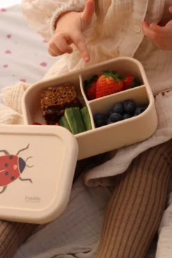 Lunchlåda - Ladybug