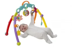 Playgro Babygym Fold & Go