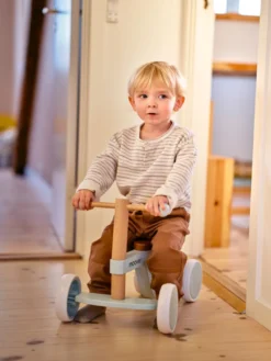 Ride-On 4-hjuling Luksus - Grön