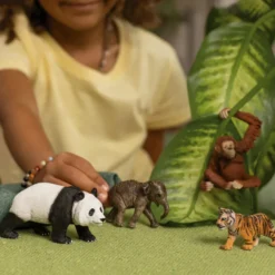 Schleich Wild Life "Asia" Starter Set