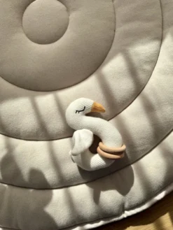 Skallra - Swan