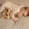 Snuttefilt Diinglisar Nalle
