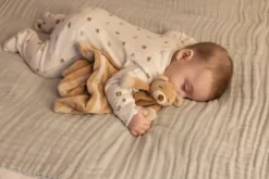 Snuttefilt Diinglisar Nalle