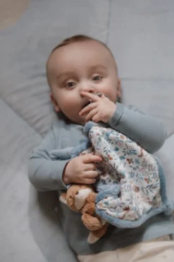 Snuttefilt Räv Forest Friends - Blå