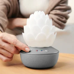 Succulent Nattlampa Med Gråtsensor