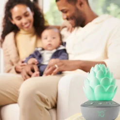 Succulent Nattlampa Med Gråtsensor