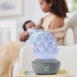 Succulent Nattlampa Med Gråtsensor