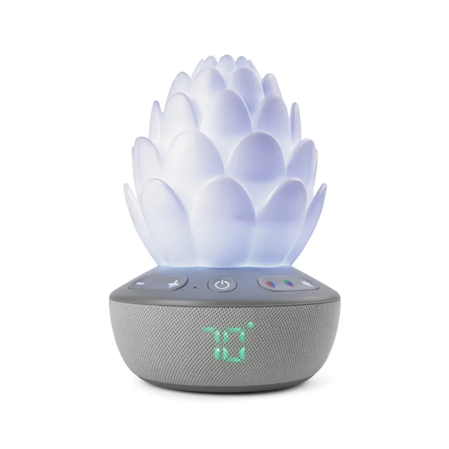 Succulent Nattlampa Med Gråtsensor