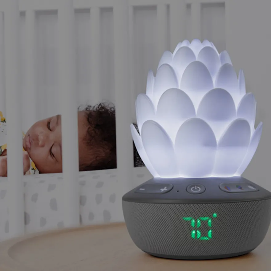 Succulent Nattlampa Med Gråtsensor