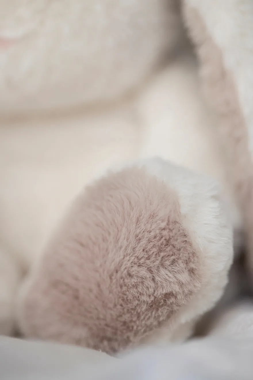 Teddy Mocca Kanin Stor - Cream
